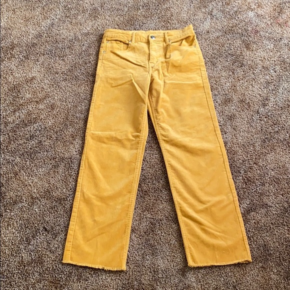 H&M Pants - COPY - H&M women velvet pants.